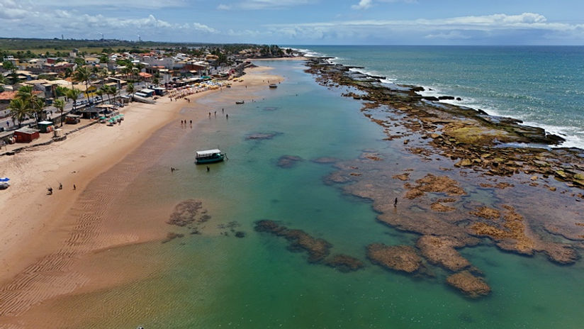 Jauá